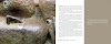 Double-pages extraites de 