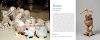Double-pages extraites de 
