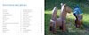 Double-pages extraites de 